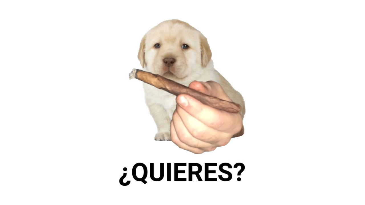 Image posted by Shepado