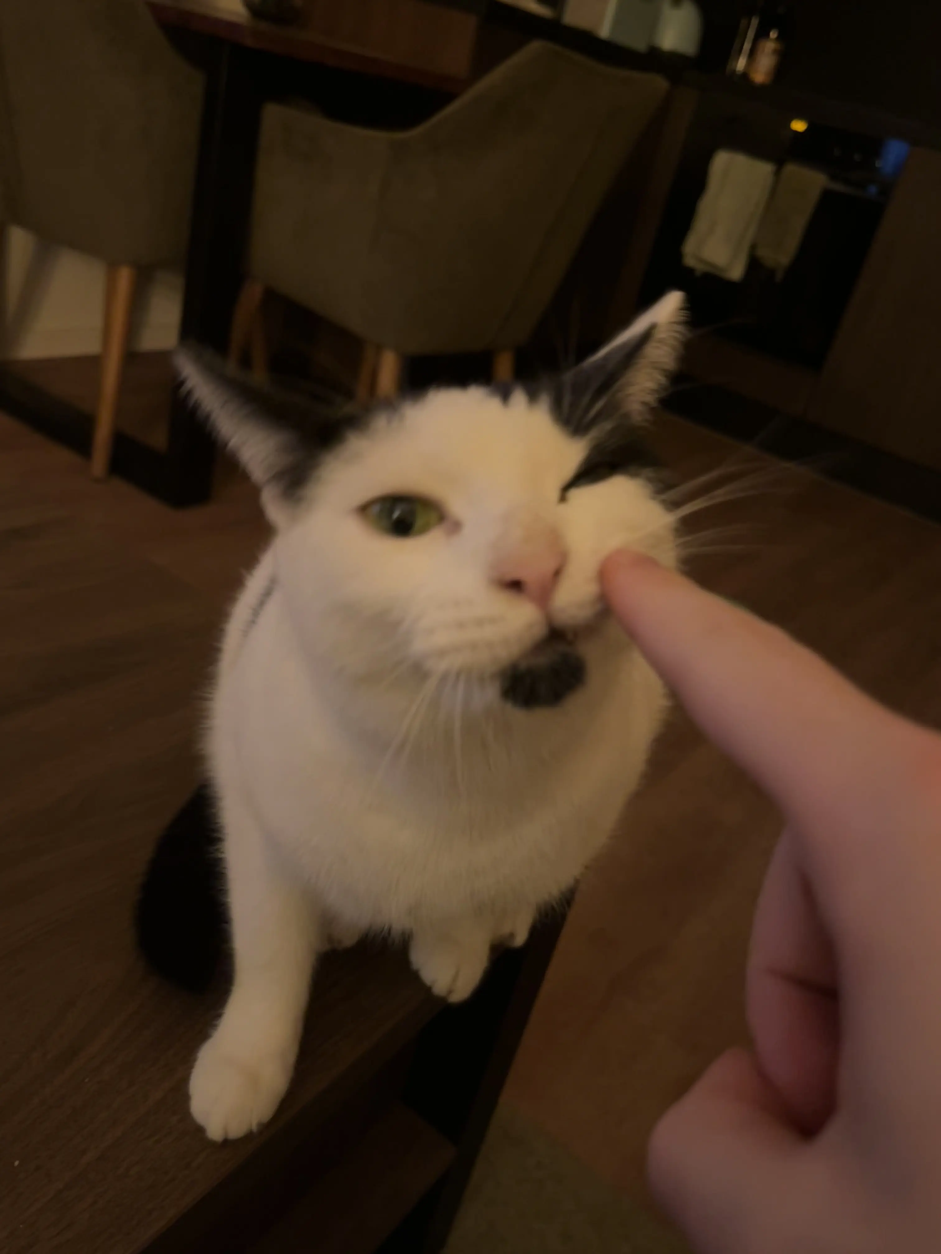Image posted by NIHKLAS